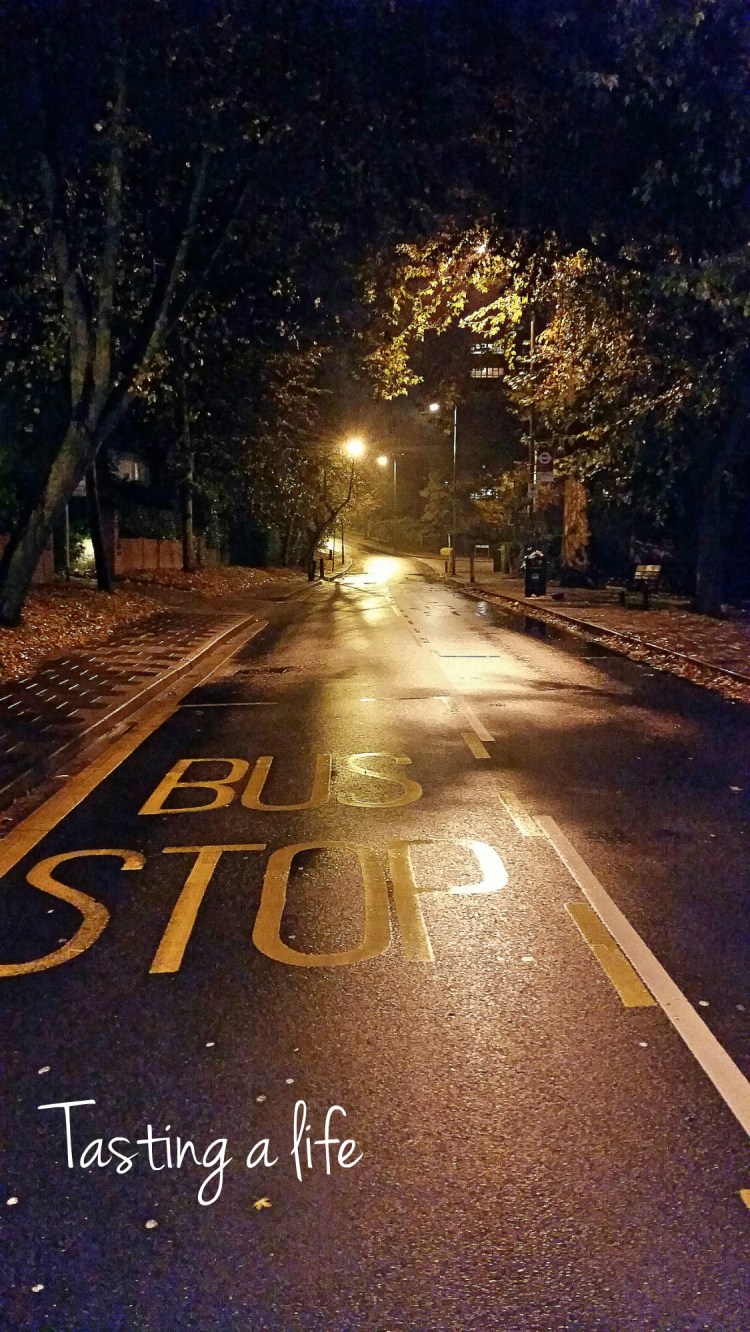 Autumnnight_Southfields_2014