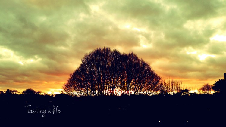 AutumnSunset_Southfiels_2014