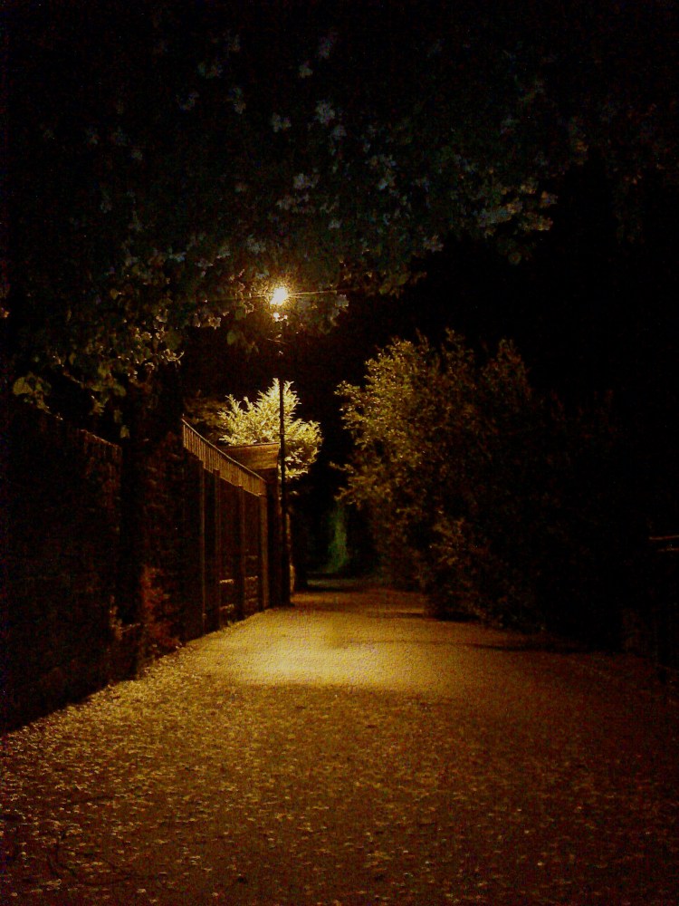 Fotor_143242266323330