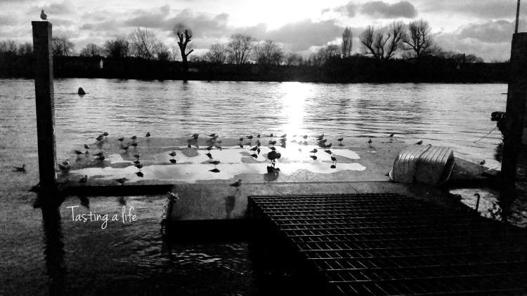 Winter_Hammersmith_2015_2