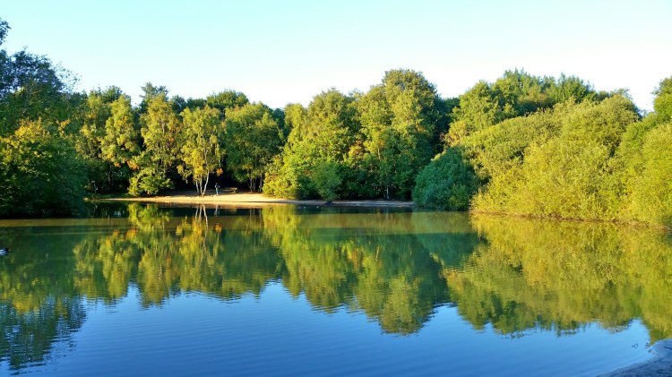 Fotor_144381095490896