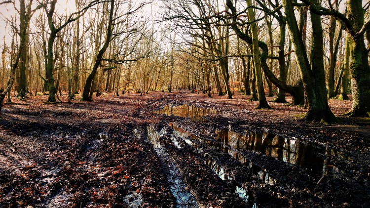 Fotor_145416724821429