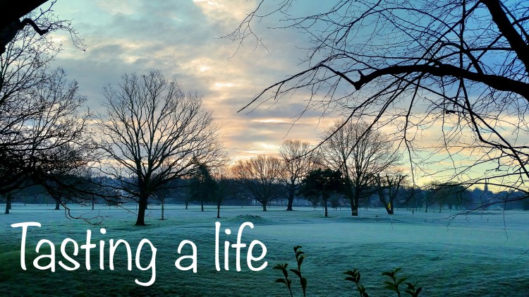 Fotor_145531557279764